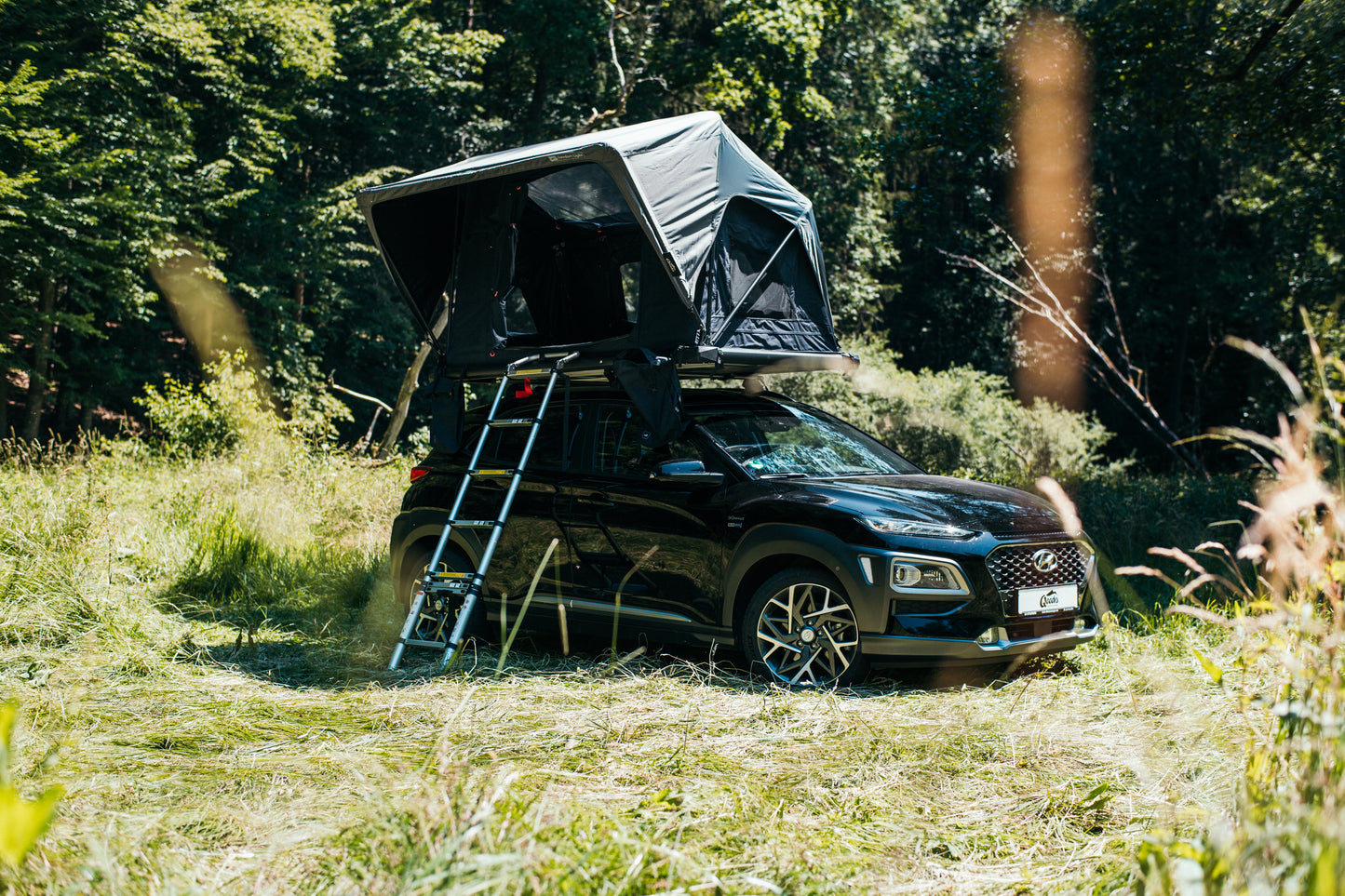 qeedo Freedom Light