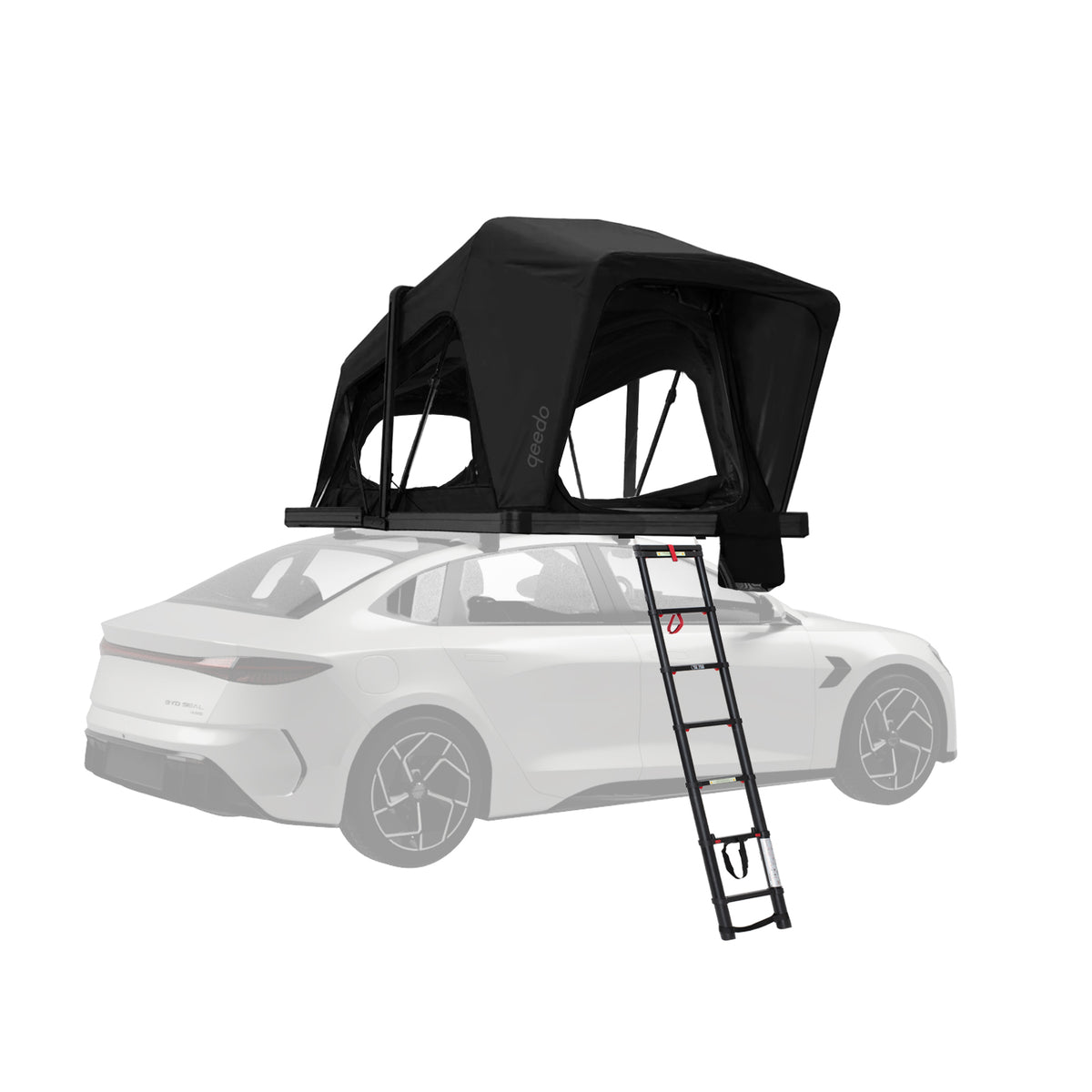 qeedo Freedom Hybrid 2