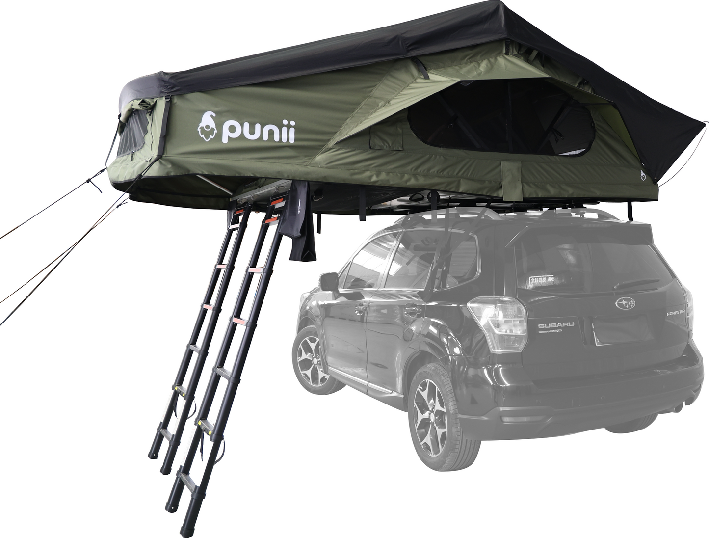 punii moenga XL
